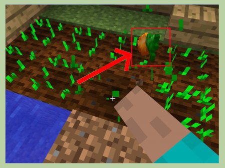 Сбор урожая