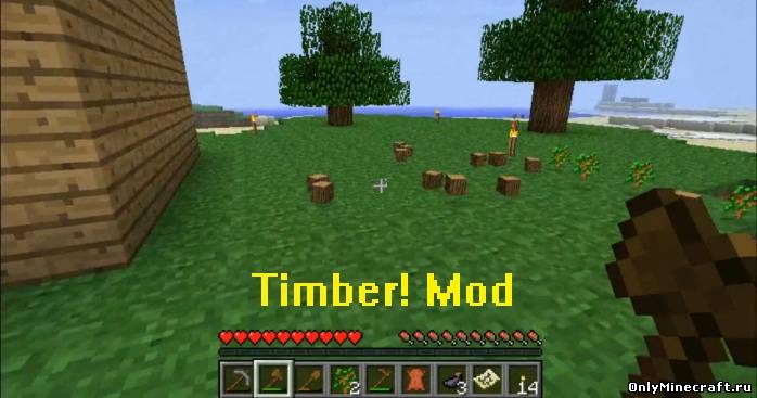 Timber