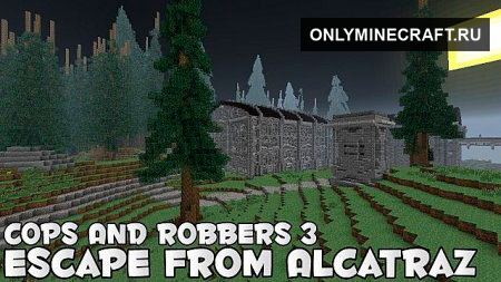 Cops and Robbers 3 (копы и бандиты)