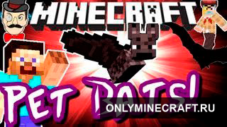 Pet Bat (Домашняя летучая мышь)