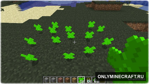 Magic Clover (Магический клевер)