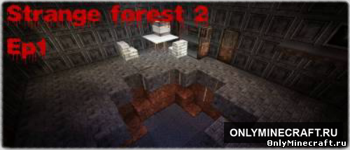 СТРАННЫЙ ЛЕС 2