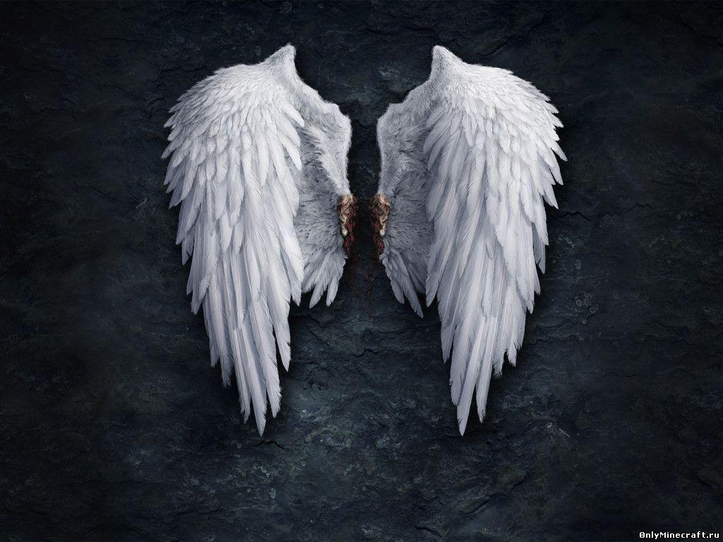 Плащ Крылья HD (Wings cape HD)