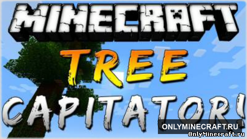 TREE CAPITATOR (Бог дерева)