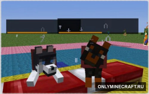 Dog Cat Plus (Новые питомцы)