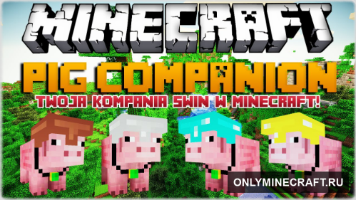PIG COMPANION (Свинушки с бронёй)