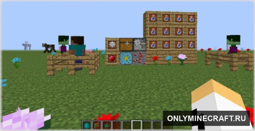 The Forgotten Features