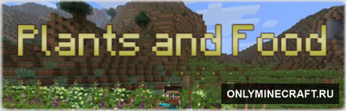 Plants and Food (Цветы-Цветы!)