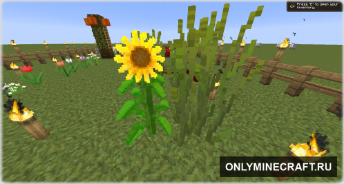 BLOCKS3D (Блоки в 3D)