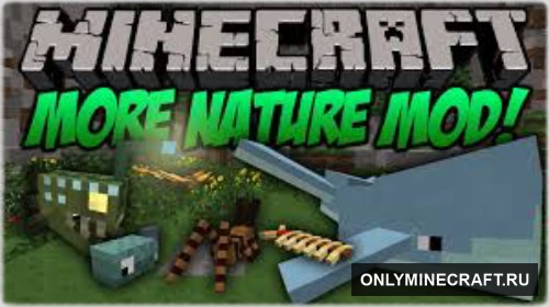 More Nature (Животные)