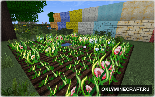 Magical Crops (Магия растений)