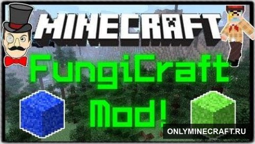 FUNGICRAFT (Почувствуй себя ученым!)
