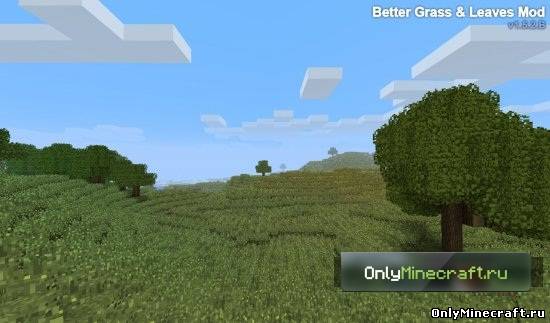 Better Grass and Leaves