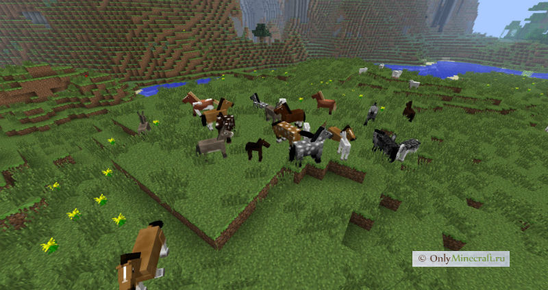 Как приручить лошадку в Майнкрафте
