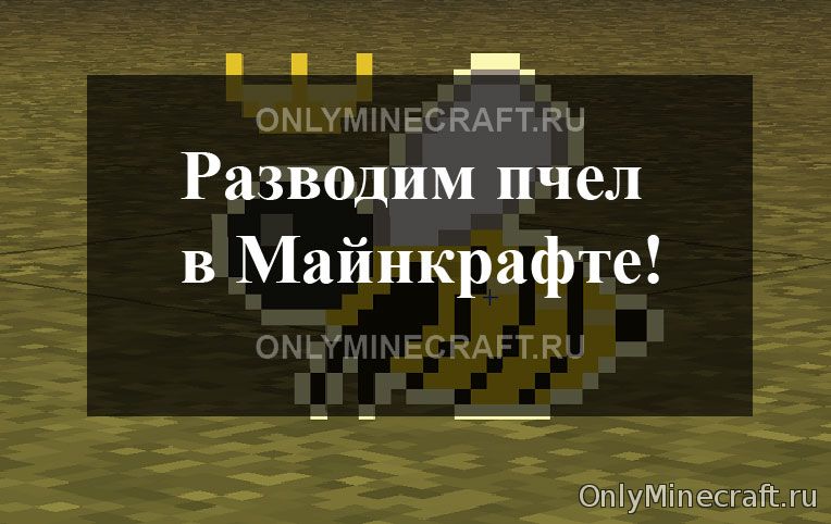 Пчеловодство в Minecraft