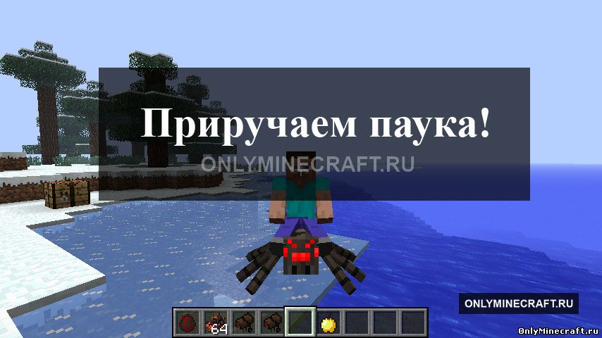 Как в Майнкрафте приручить паука