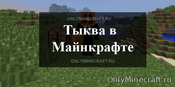 Как сделать тыкву в Майнкрафте