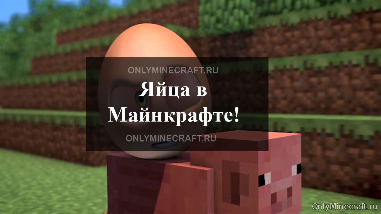 Яйца в Майнкрафт