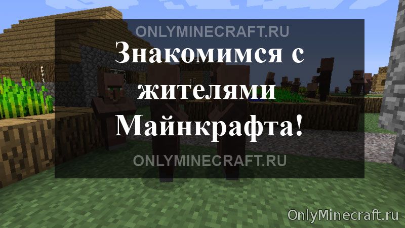 Жители Майнкрафт