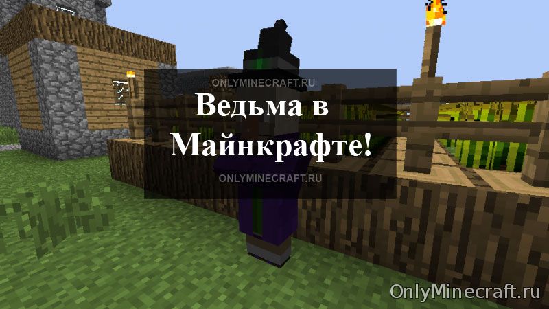 Ведьма Майнкрафт