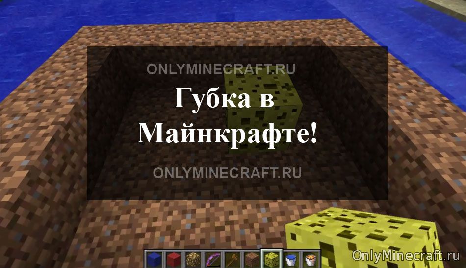 Губка в Майнкрафте
