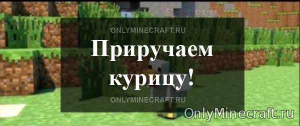 Как приручить курицу в Minecraft