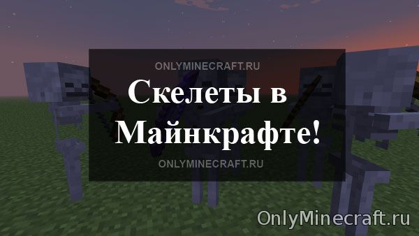 Скелет в Майнкрафт