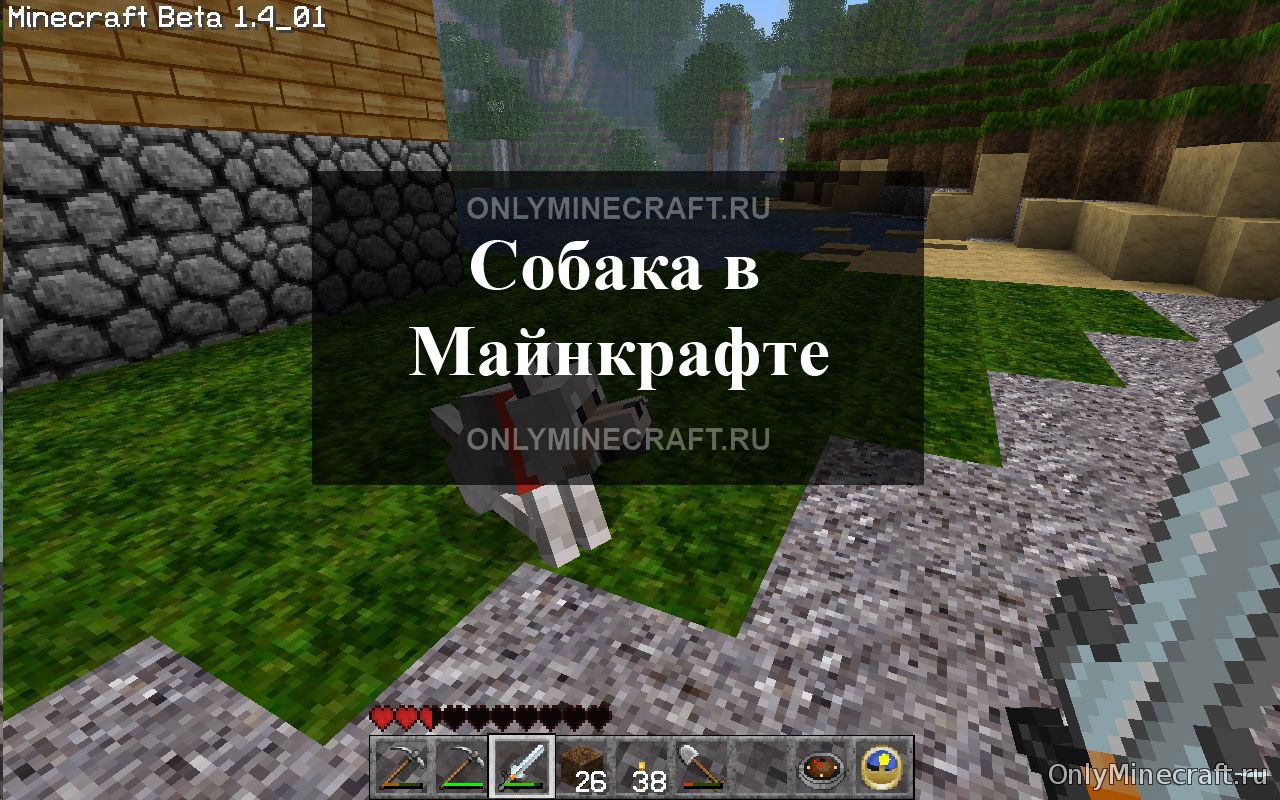Как в Майнкрафте сделать собаку